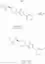 Fig. 71 - Compounds having NPY Y5 receptor antagonistic activity