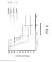 Fig. 07 - Formulation of radioprotective alpha beta unsaturated aryl sulfones
