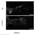 Fig. 06 - METHOD FOR TREATING NEUROLOGICAL DISORDERS WITH IMIDAZOLIUM AND IMIDAZOLINIUM COMPOUNDS
