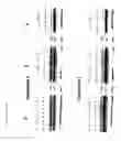 Fig. 09 - Methods of treating eye diseases in diabetic patients