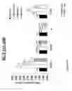 Fig. 10 - NOVEL FER -LIKE PROTEIN, PHARMACEUTICAL COMPOSITIONS CONTAINING IT AND METHOD FOR ITS USE