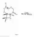 Fig. 02 - COMPOSITIONS FOR PREVENTION OR TREATMENT OF ANOREXIA-CACHEXIA SYNDROME AND USES THEREOF