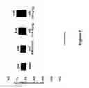 Fig. 08 - COMPOSITIONS FOR PREVENTION OR TREATMENT OF ANOREXIA-CACHEXIA SYNDROME AND USES THEREOF