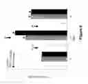 Fig. 09 - COMPOSITIONS FOR PREVENTION OR TREATMENT OF ANOREXIA-CACHEXIA SYNDROME AND USES THEREOF
