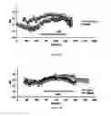 Fig. 05 -  PHARMACEUTICAL COMPOSITIONS COMPRISING DIIODOTHYRONINE AND THEIR THERAPEUTIC USE