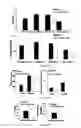 Fig. 06 -  PHARMACEUTICAL COMPOSITIONS COMPRISING DIIODOTHYRONINE AND THEIR THERAPEUTIC USE