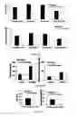 Fig. 07 -  PHARMACEUTICAL COMPOSITIONS COMPRISING DIIODOTHYRONINE AND THEIR THERAPEUTIC USE