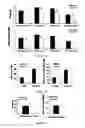 Fig. 08 -  PHARMACEUTICAL COMPOSITIONS COMPRISING DIIODOTHYRONINE AND THEIR THERAPEUTIC USE