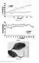 Fig. 09 -  PHARMACEUTICAL COMPOSITIONS COMPRISING DIIODOTHYRONINE AND THEIR THERAPEUTIC USE