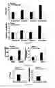 Fig. 10 -  PHARMACEUTICAL COMPOSITIONS COMPRISING DIIODOTHYRONINE AND THEIR THERAPEUTIC USE