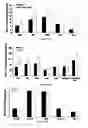 Fig. 15 -  PHARMACEUTICAL COMPOSITIONS COMPRISING DIIODOTHYRONINE AND THEIR THERAPEUTIC USE