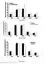 Fig. 17 -  PHARMACEUTICAL COMPOSITIONS COMPRISING DIIODOTHYRONINE AND THEIR THERAPEUTIC USE