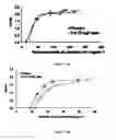 Fig. 23 -  PHARMACEUTICAL COMPOSITIONS COMPRISING DIIODOTHYRONINE AND THEIR THERAPEUTIC USE