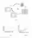 Fig. 02 - Mesoporous materials and reactants for preparing them