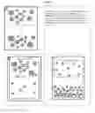 Fig. 03 - PEG-COATED CORE-SHELL SILICA NANOPARTICLES AND METHODS OF MANUFACTURE AND USE