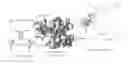 Fig. 01 - Protein binding miniature proteins