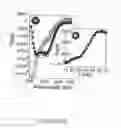 Fig. 05 - Protein binding miniature proteins