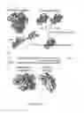 Fig. 09 - Protein binding miniature proteins