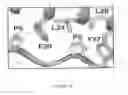 Fig. 16 - Protein binding miniature proteins