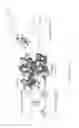 Fig. 18 - Protein binding miniature proteins