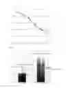 Fig. 07 - Agent for Treating Skin Aging and Scars