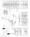 Fig. 09 - Electronically initiating an administration of a neuromodulation treatment regimen chosen in response to contactlessly acquired information