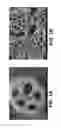 Fig. 02 - Use of electrospun microtubes for drug delivery