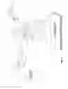 Fig. 06 - Single port device having integral filter/vent