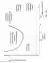 Fig. 20 - Optical system with multiple scanners for ophthalmic surgical laser