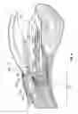Fig. 10 - Ocular implant with stiffness qualities, methods of implantation and system