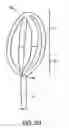 Fig. 04 - Medical retrieval device with frangible basket