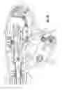 Fig. 45 - Endoscopic surgical clip applier