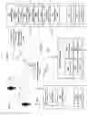 Fig. 09 - Stimulating a nervous system component of a mammal in response to contactlessly acquired information