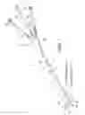 Fig. 02 - INTRA-VENTRICULAR BRAIN COOLING CATHETER