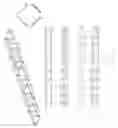 Fig. 20 - AUXETIC STENTS