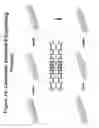 Fig. 24 - AUXETIC STENTS