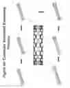 Fig. 26 - AUXETIC STENTS