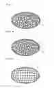 Fig. 02 - MEDICAL IMPLANT