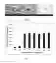 Fig. 10 - Electrochemical coupling of metallic biomaterial implants for biological effect