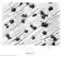 Fig. 29 - Electrochemical coupling of metallic biomaterial implants for biological effect