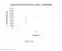 Fig. 33 - Electrochemical coupling of metallic biomaterial implants for biological effect