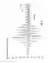 Fig. 09 - Holistic control for stabilizing vehicle-trailer swaying