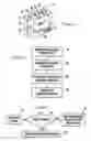 Fig. 02 - GPS-BASED WIRELESS NETWORK CONNECTION SELECTION AND NETWORK TOPOLOGY OVERLAY ON SATELLITE GEOGRAPHIC MAP
