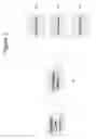 Fig. 06 - System and method for determining road conditions