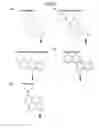 Fig. 03 - Metabolic analysis apparatus and metabolic analysis method
