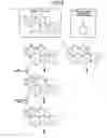 Fig. 05 - Metabolic analysis apparatus and metabolic analysis method
