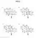 Fig. 06 - Metabolic analysis apparatus and metabolic analysis method
