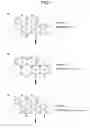 Fig. 08 - Metabolic analysis apparatus and metabolic analysis method
