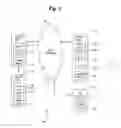 Fig. 04 - METHOD AND APPARATUS FOR IDENTIFYING CUSTOMERS FOR DELIVERY OF PROMOTIONAL MATERIALS
