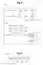 Fig. 06 - METHOD AND APPARATUS FOR IDENTIFYING CUSTOMERS FOR DELIVERY OF PROMOTIONAL MATERIALS